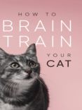 Allsorted Cat Brain Training Book