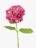 Floralsilk Artificial French Hydrangea