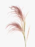 Floralsilk Artificial Pampas Reed
