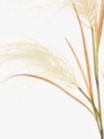 Floralsilk Artificial Pampas Reed, Cream