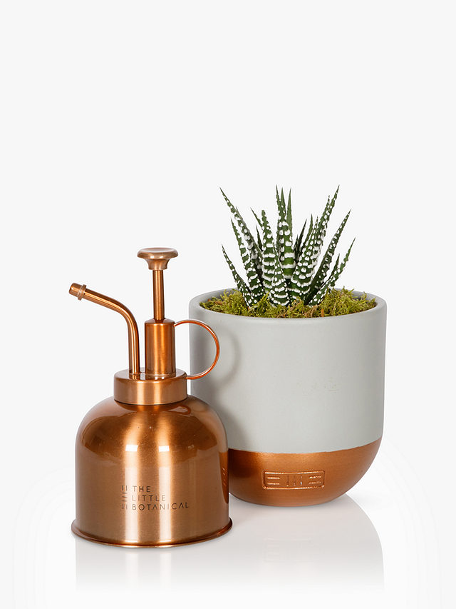 The Little Botanical Copper Mister & Plant Set