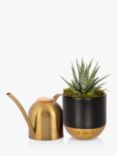 The Little Botanical Small Gold Watering Can & Plant Set