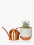 The Little Botanical Copper Watering Can & Plant Set