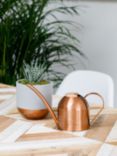 The Little Botanical Copper Watering Can & Plant Set