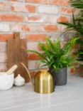 The Little Botanical Gold Watering Can & Fern Set