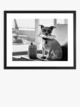 'Terrier Travel' Framed Print & Mount, 45.5 x 55.5, Black/White