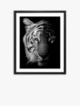 Tiger Framed Print & Mount, 81 x 65.5, Black/White