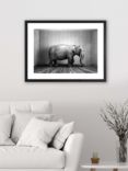 'Elephant In The Room' Framed Print & Mount, 65.5 x 85.5cm, Black/White