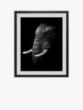 Elephant Framed Print & Mount, 81 x 65.5cm, Black/White