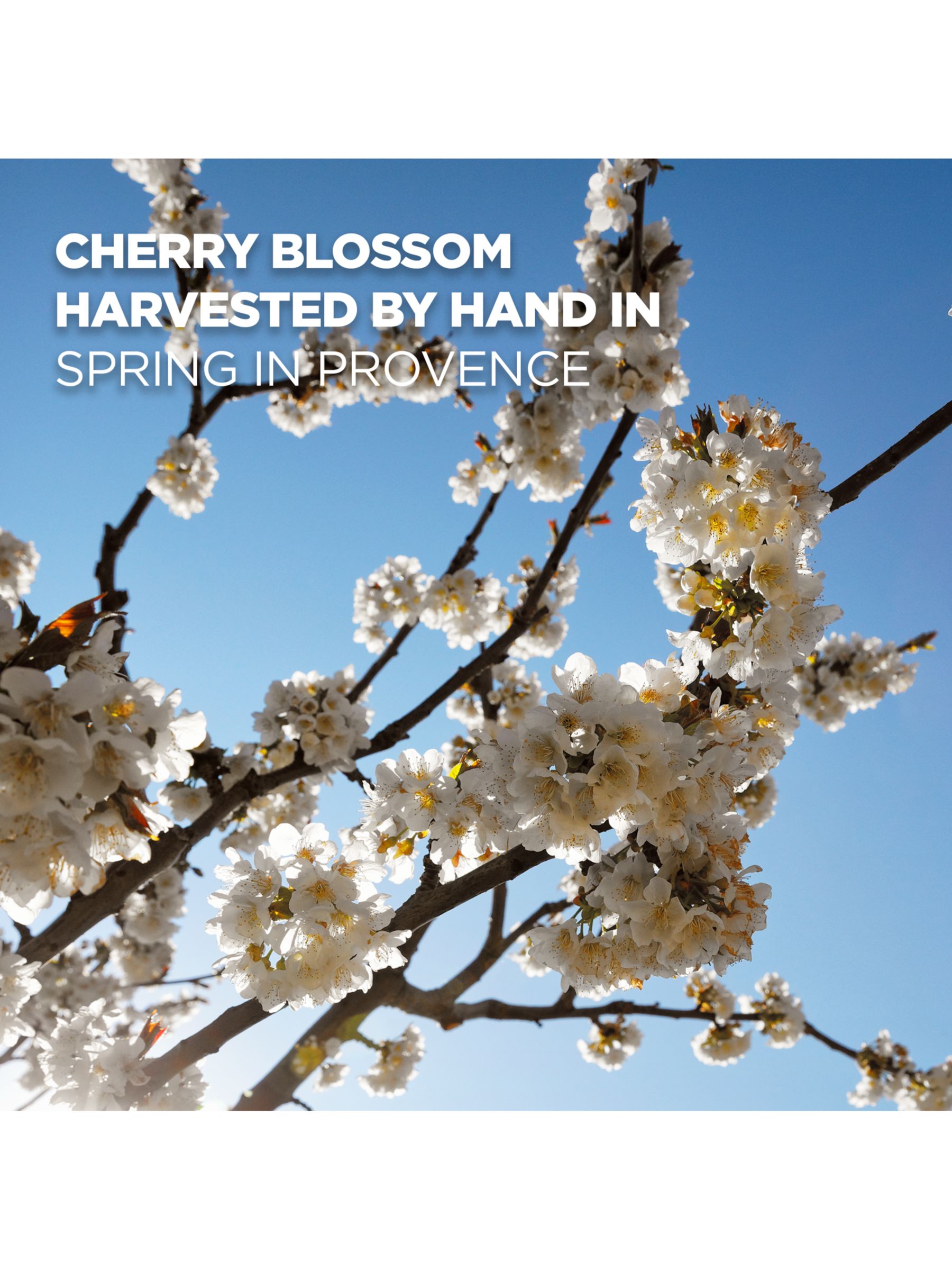 L'OCCITANE Cherry Blossom Eau de Toilette, 75ml 4