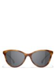 CHANEL CH5459 Women's Phantos Sunglasses, Toffee Horn