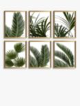 Linda Wood - 'Tropical Leaves' Framed Print, Set of 6, 32 x 26cm, Green