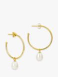 Claudia Bradby Pearl Drop Hoop Earrings, Gold