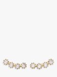PDPAOLA White Tide Cubic Zirconia Earrings, Gold