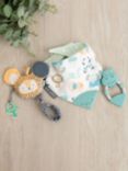 Cheeky Chompers Hippo Teether, Handychew Toy & Neckerchew Baby Bib Gift Set