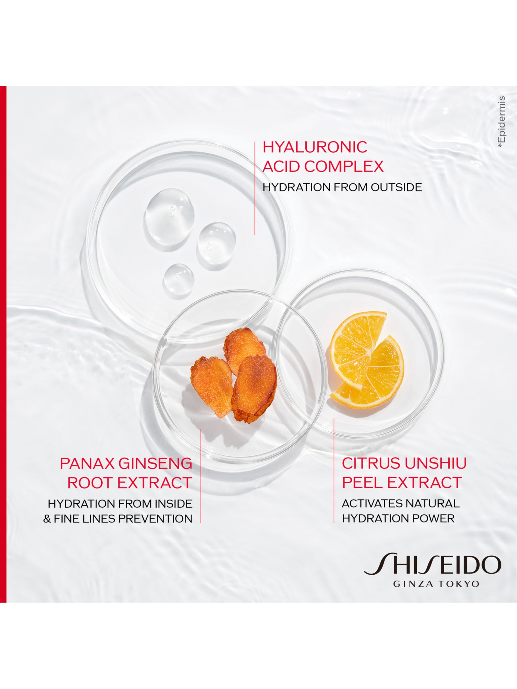 Shiseido Essential Energy Hydrating Day Cream SPF 20, 50ml 4