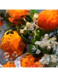 Guerlain Aqua Allegoria Orange Soleia Eau de Toilette, Refill, 200ml