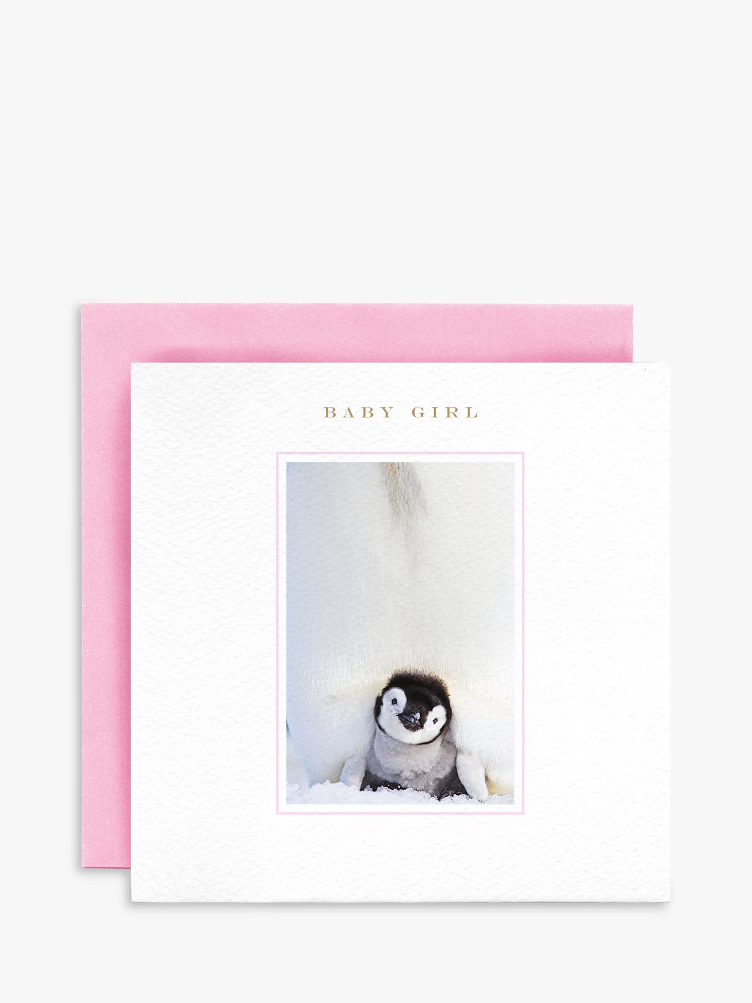 Susan O'Hanlon Penguin New Baby Girl Card