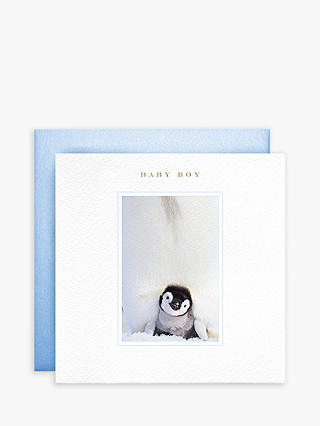 Susan O'Hanlon Penguin New Baby Boy Card