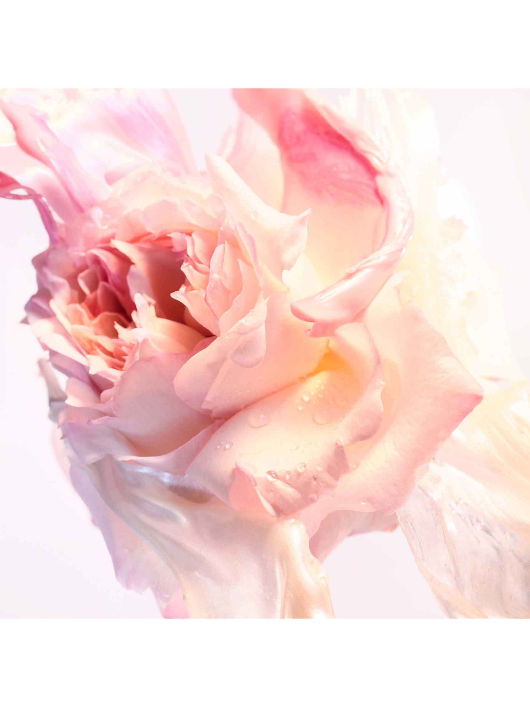 BVLGARI Rose Goldea Blossom Delight Eau de Toilette, 50ml 4