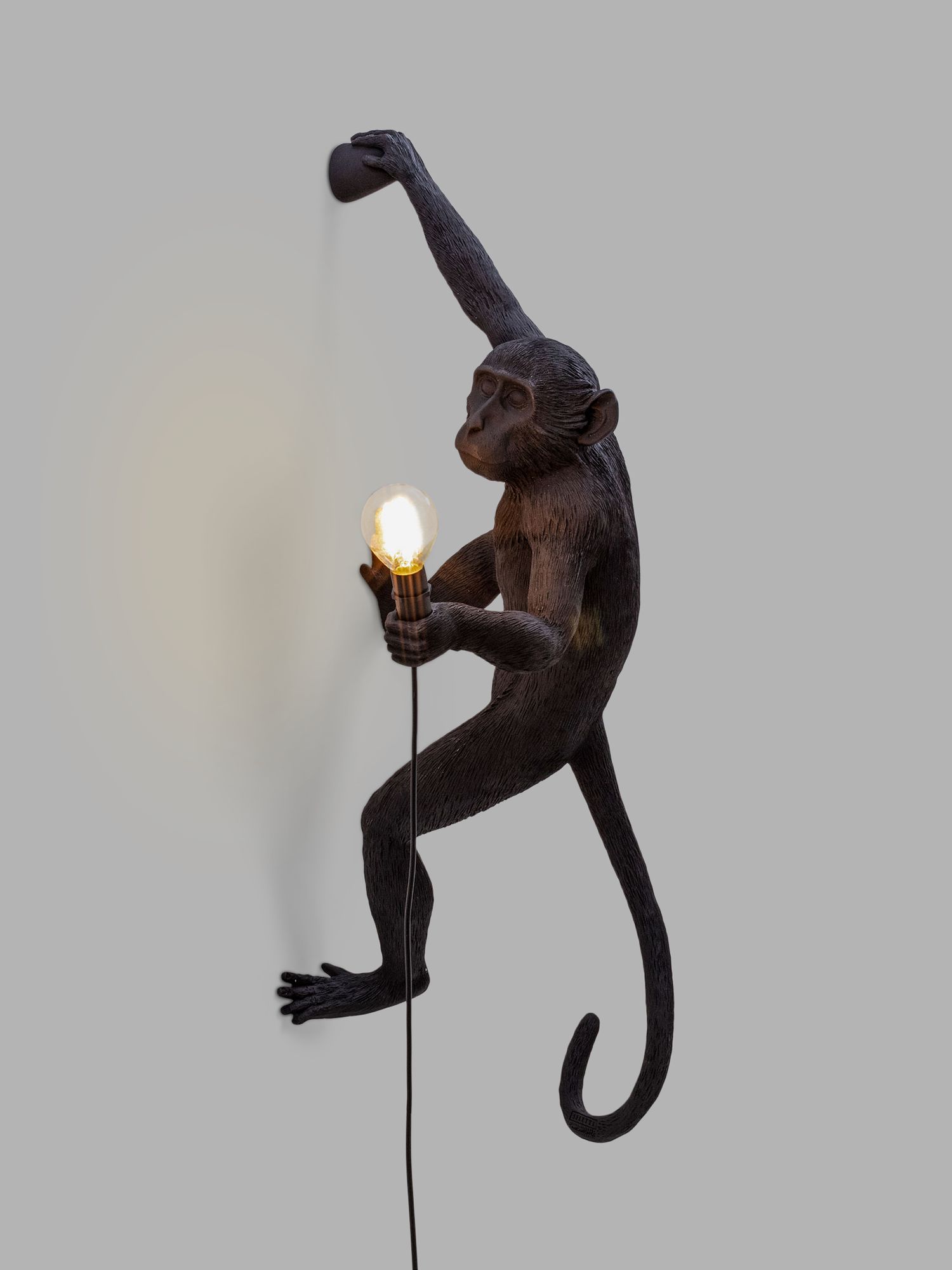 Photo of Seletti hanging monkey indoor/outdoor wall light black