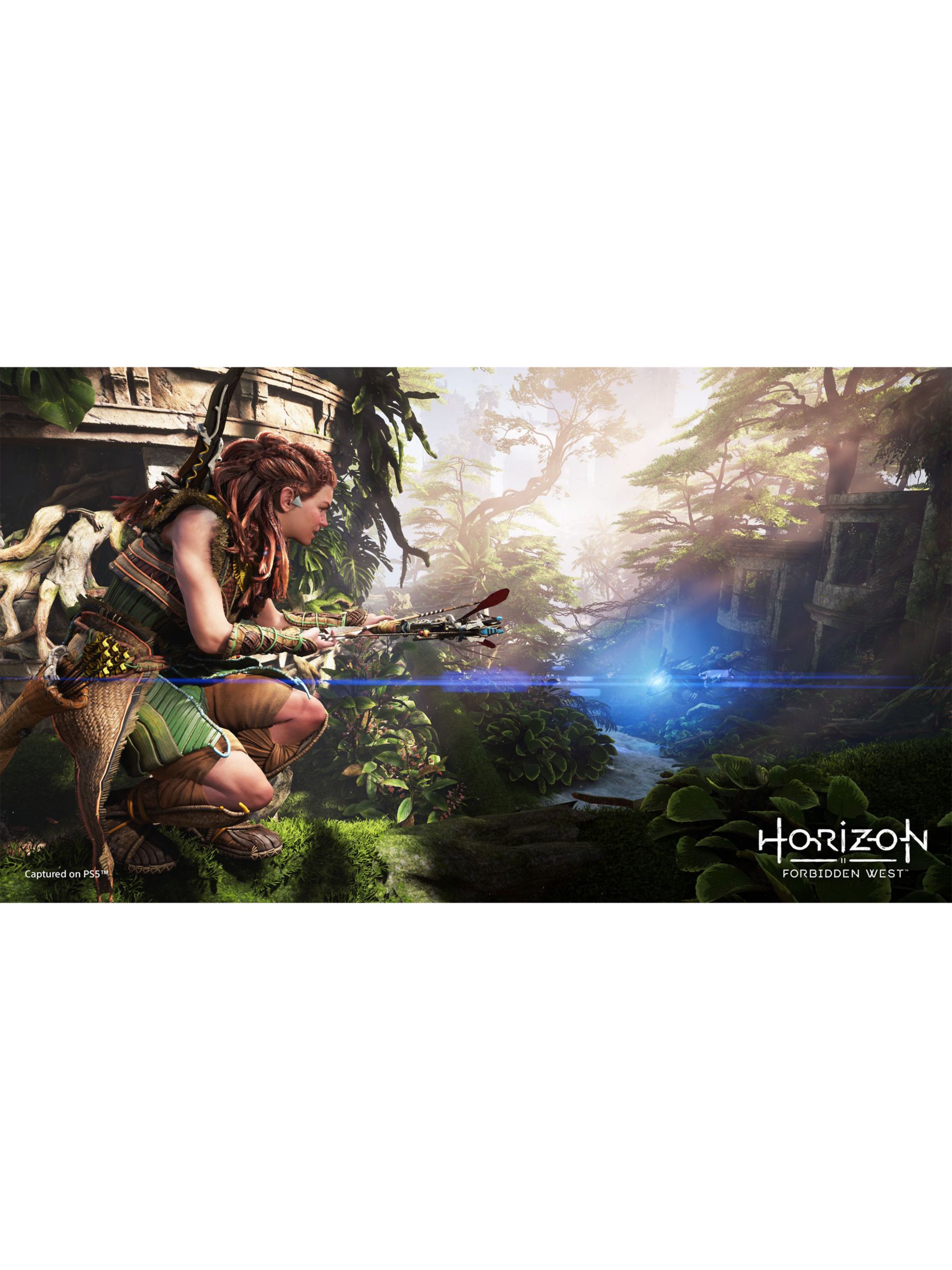Horizon Forbidden West for PS5 ( Digital Download Code) – Cool Mobile