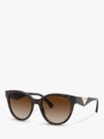 Emporio Armani EA4140 Women's Cat's Eye Sunglasses, Tortoise/Brown Gradient