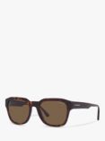 Emporio Armani EA4175 Men's Square Sunglasses, Shiny Havana/Brown