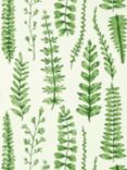 Scion Ferns Wallpaper, NART112798