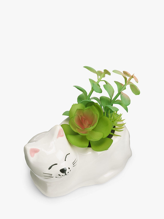 John Lewis Succulent in Ceramic Cat Pot