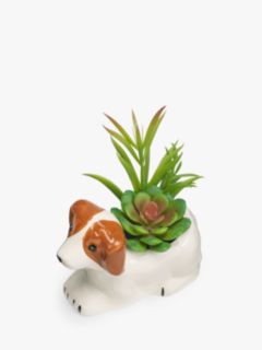 John Lewis Succulent in Ceramic Dog Pot