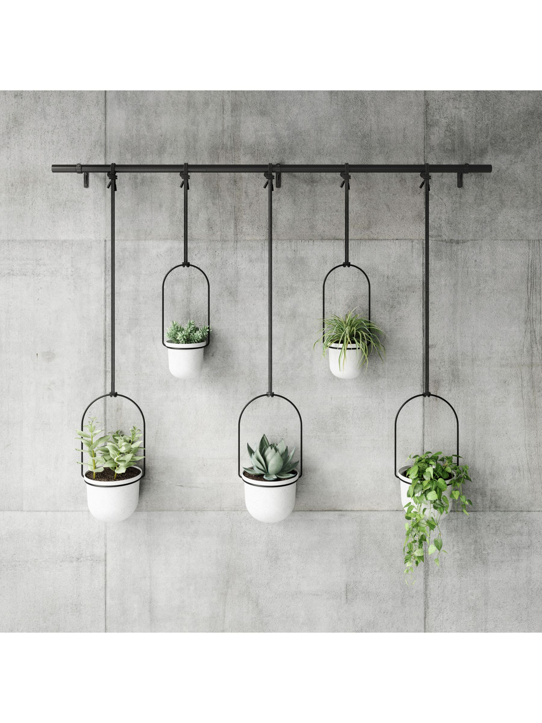 Modern Hanging Planter, Triflora Wall Planter