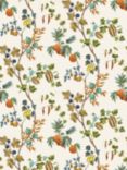 Osborne & Little Orchard Wallpaper, Sienna W7686-01