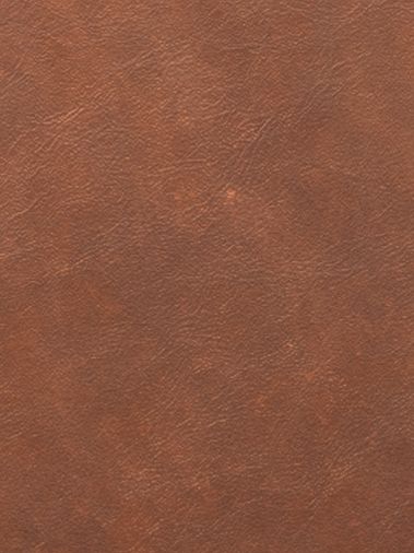 Yellowstone Leather
