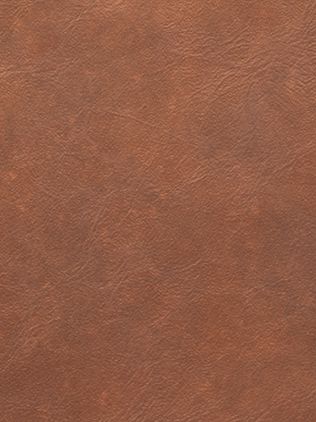 Yellowstone Leather