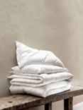 Piglet in Bed Merino Wool Organic Standard Pillow, Soft