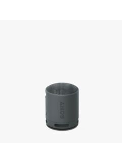 Sony SRS-XB100 Extra Bass Waterproof Bluetooth Portable Speaker, Black