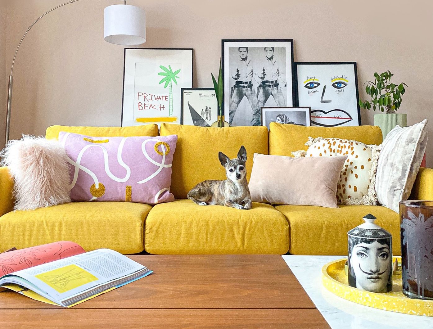 Colour and style ideas for your rented home