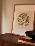 John Lewis V&A CFA Voysey 'The Ornamental Tree' Framed Print, 50 x 40cm
