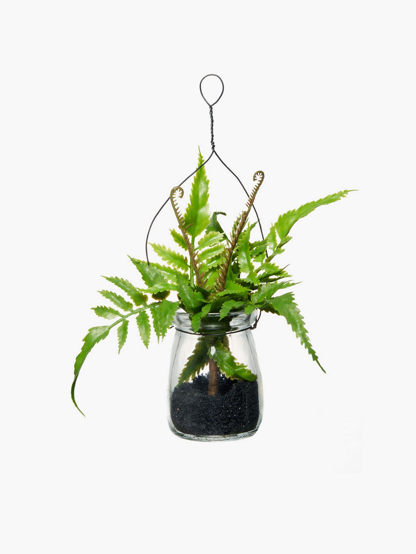 John Lewis & Partners Artificial Ferns in Hanging Glass Vase, 23cm
