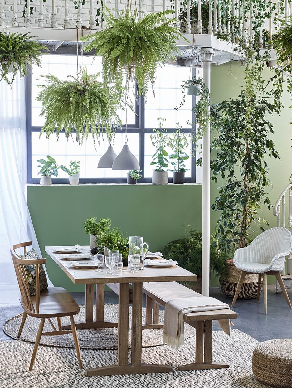 Table and chairs surrounded by indoor plants