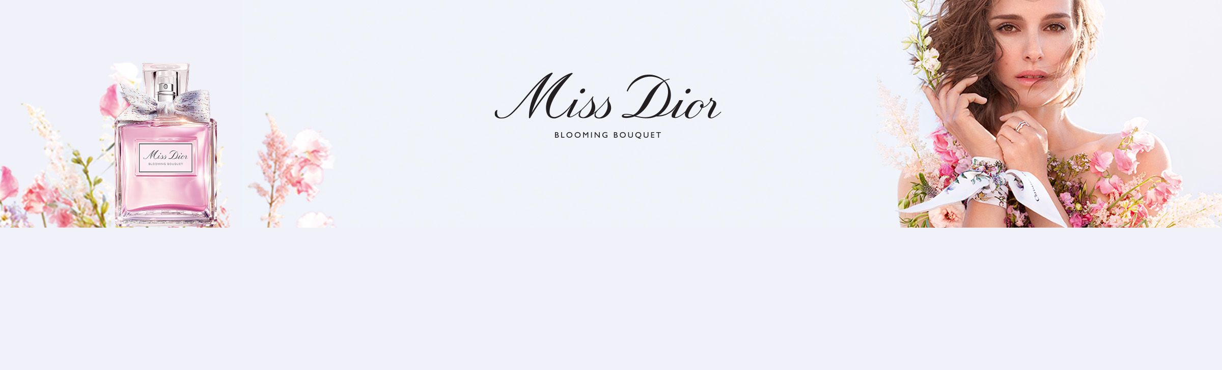 Dior Banner