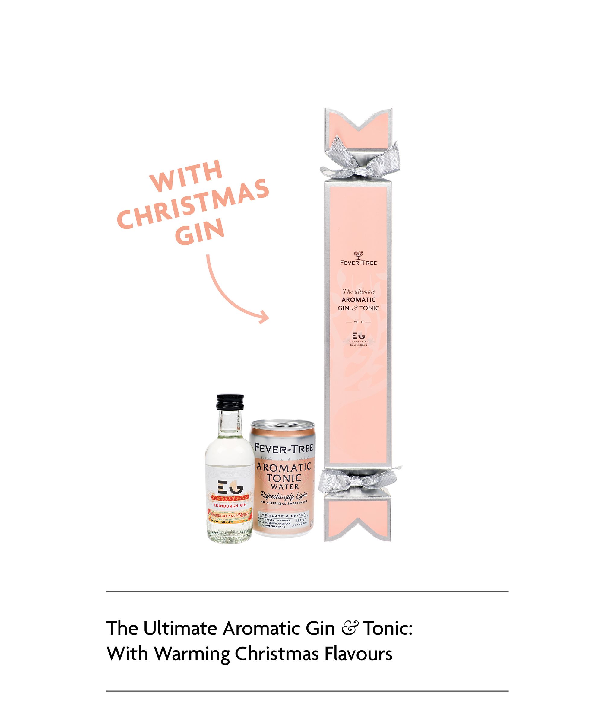 The Ultimate Aromatic Gin & Tonic: With Warming Christmas Flavours