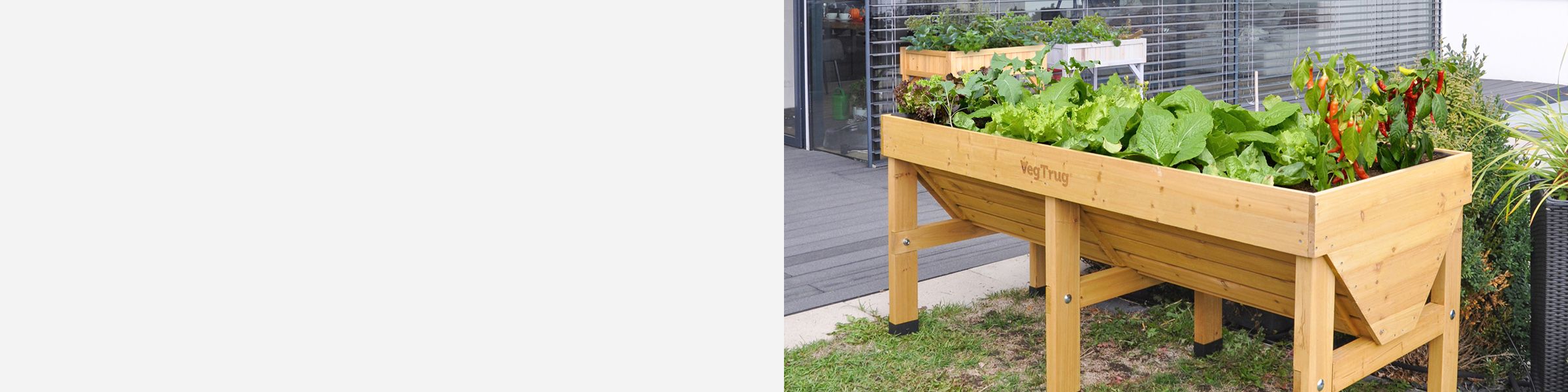 Elevate Your Garden with VegTrug: Discover Green Innovation
