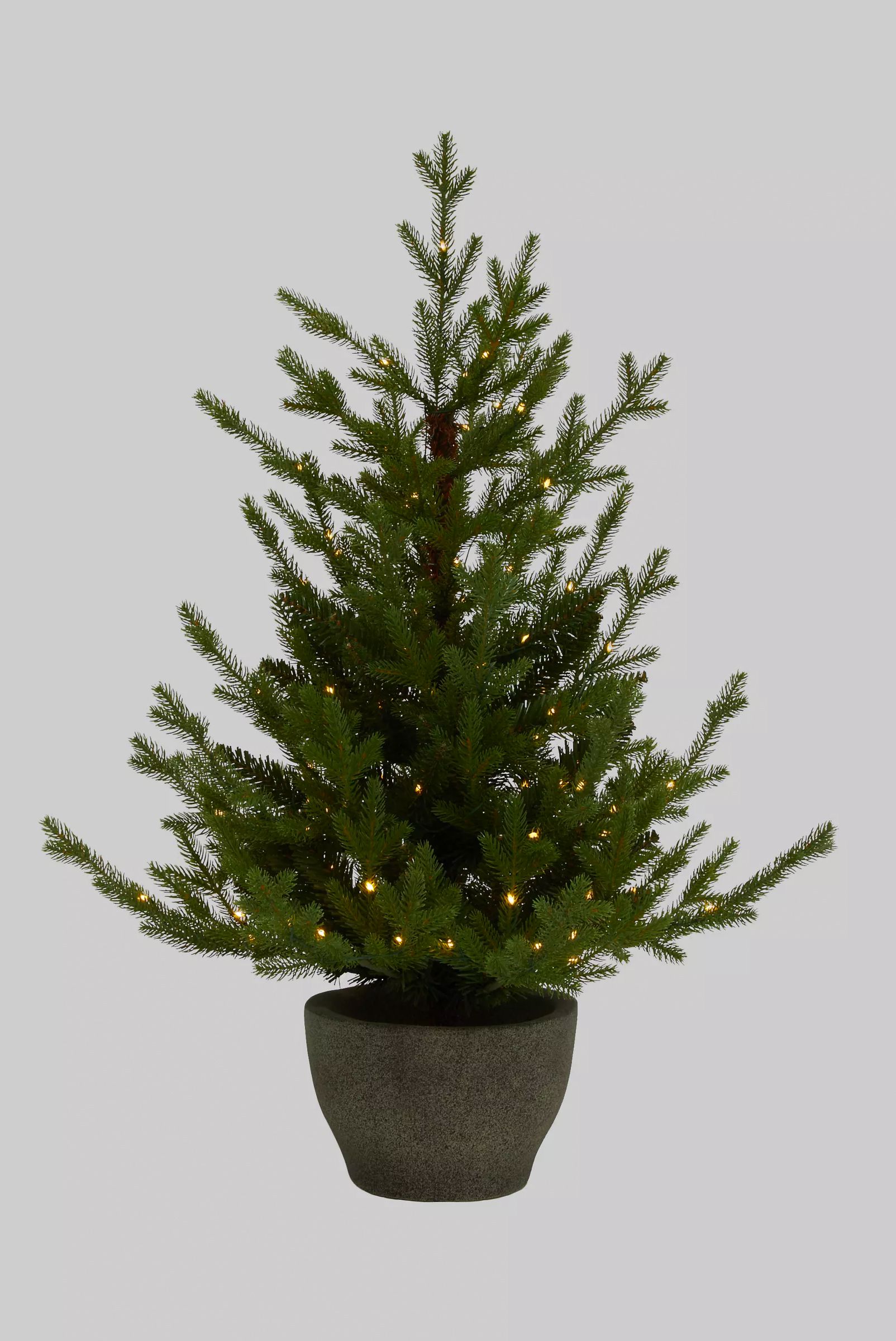 John Lewis Cotswold Potted Pre-lit Christmas Tree, 3ft, £89; John Lewis Pre-lit Christmas Tree in Zinc Bucket, 3ft, £45; John Lewis Fireside Unlit Christmas Tree, 4ft, £45