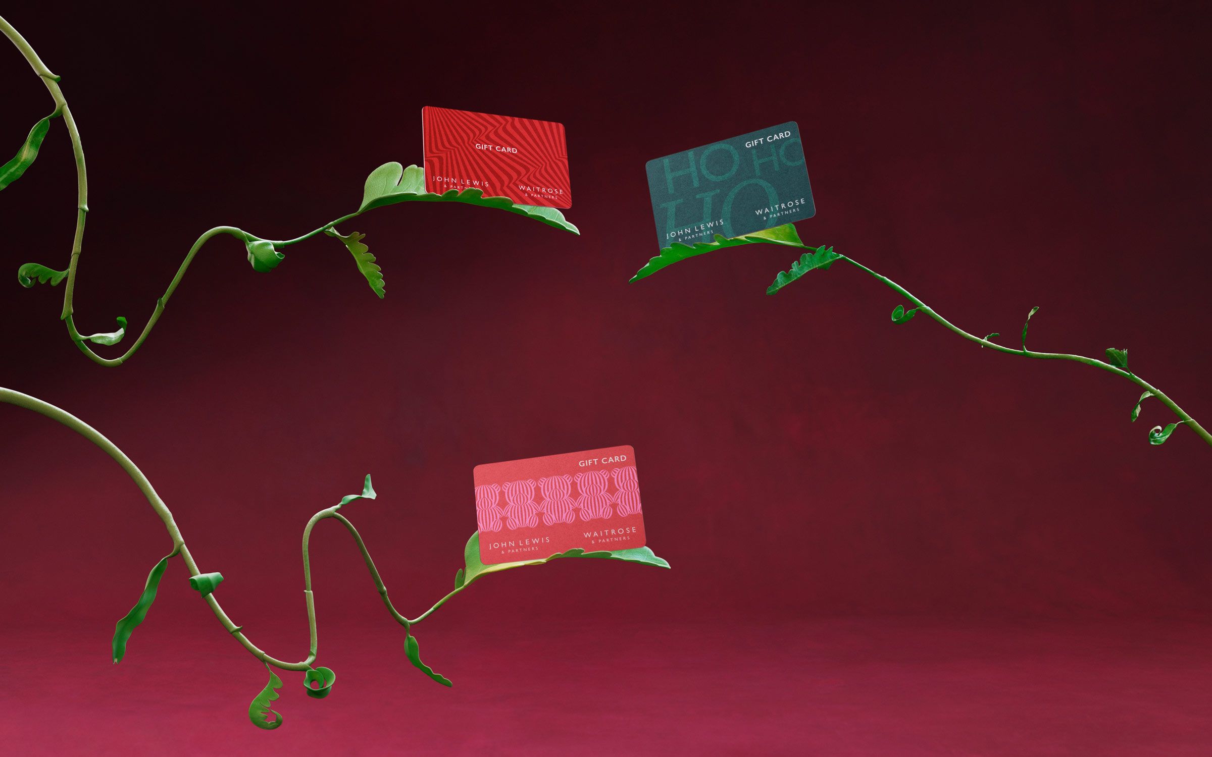 Image of gift cards hanging off a vine