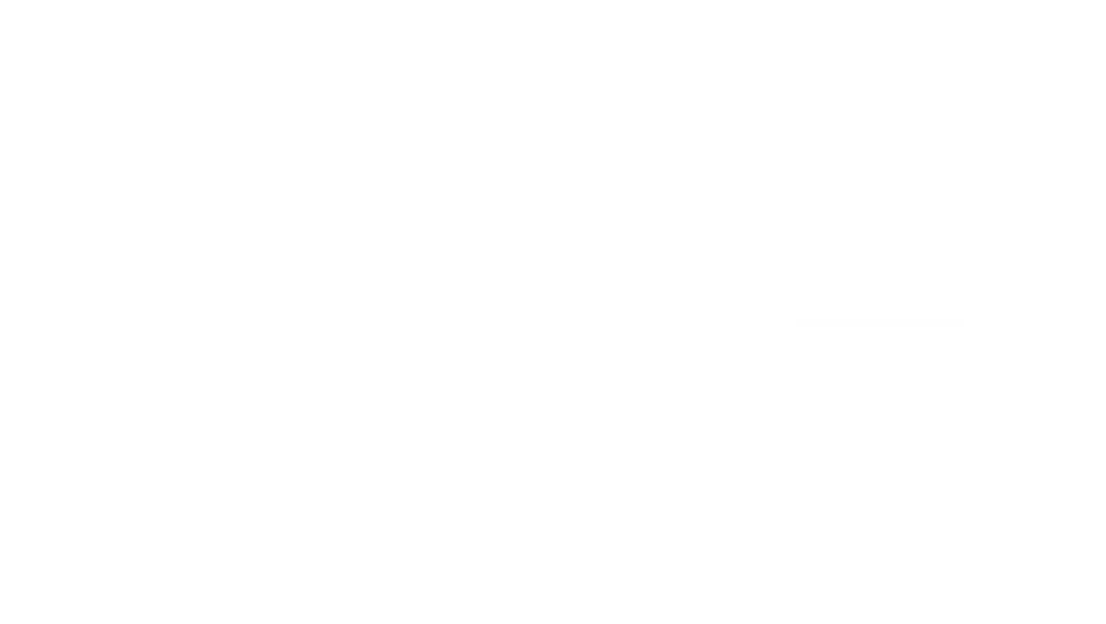 LSA International logo