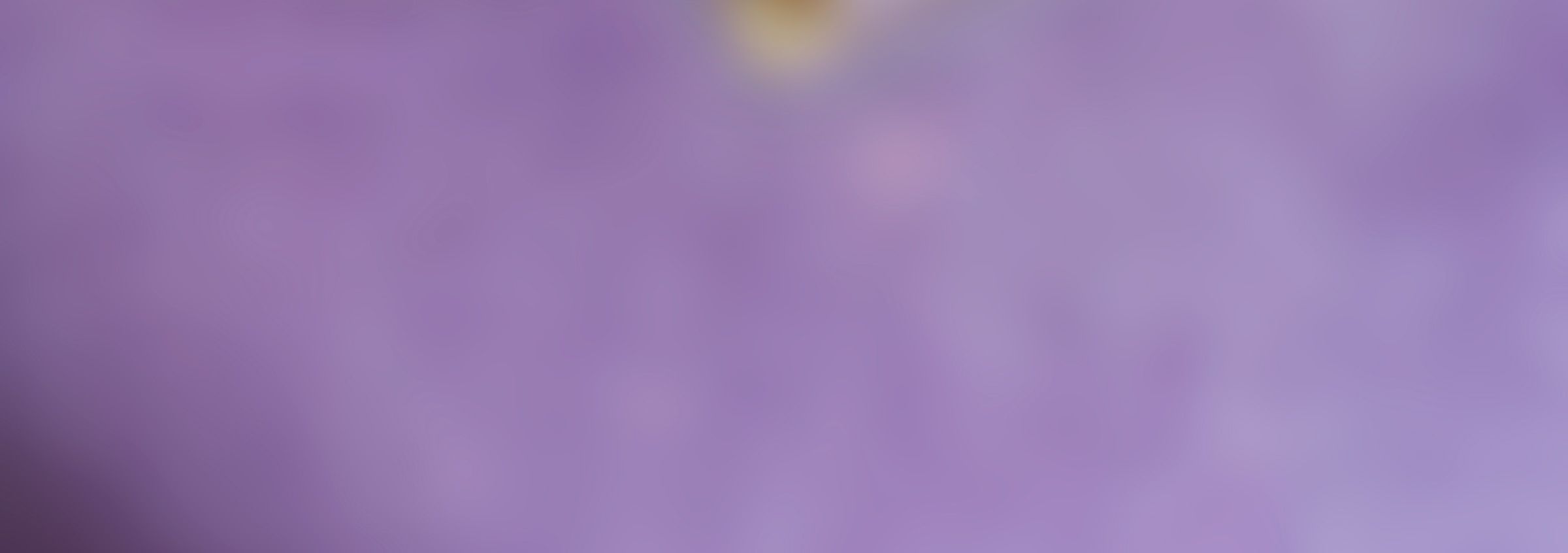 Blurred purple background image