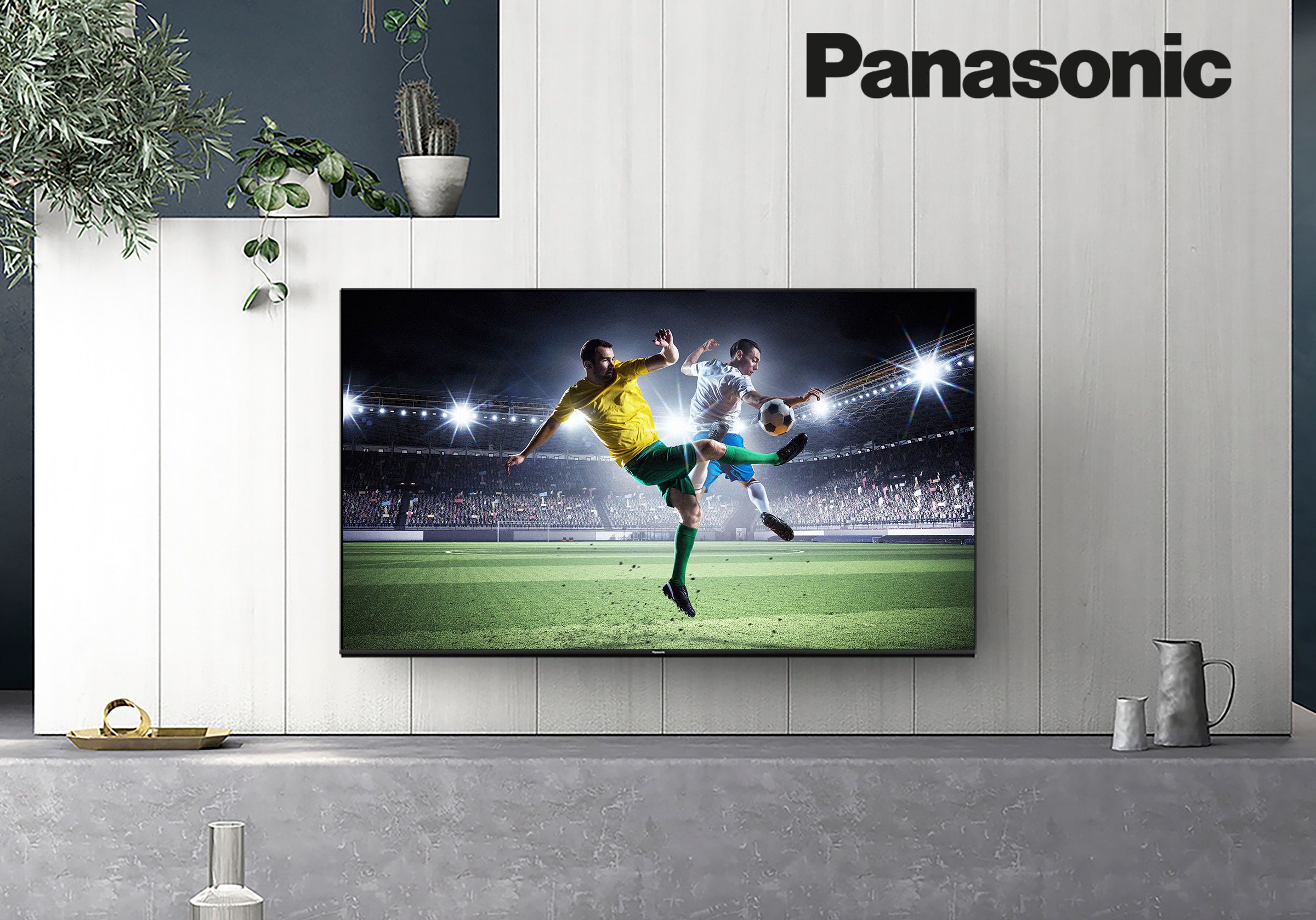 Panasonic TV on wall