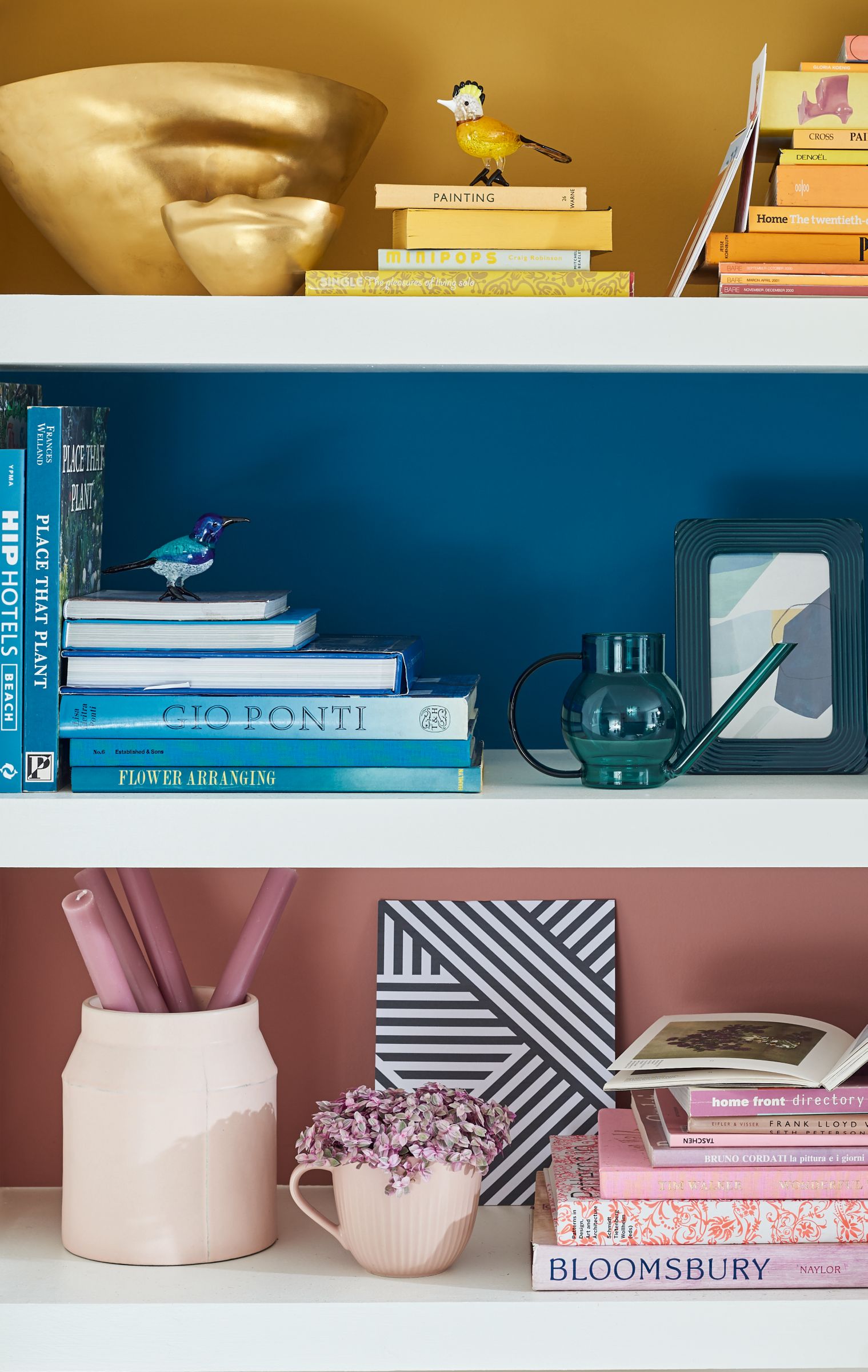 Bold coloured shelves